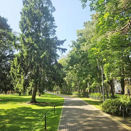 Apartamentai Aldma Palangos Miesto Sirdyje Daire *