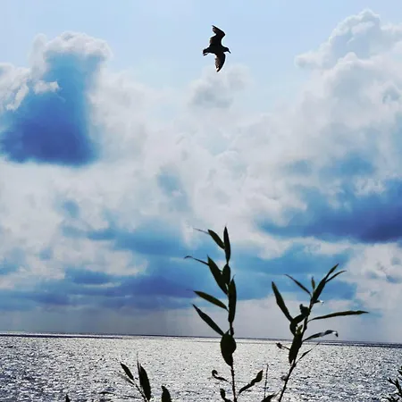 Апартаменты Apartamentai Aldma Palangos Miesto Sirdyje *