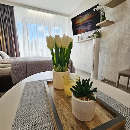 Апартаменты Apartamentai Aldma Palangos Miesto Sirdyje Паланга