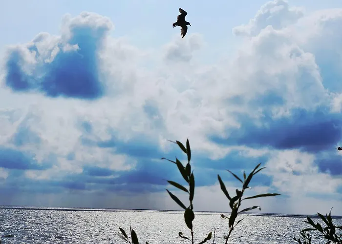 Apartmán Apartamentai Aldma Palangos Miesto Sirdyje *