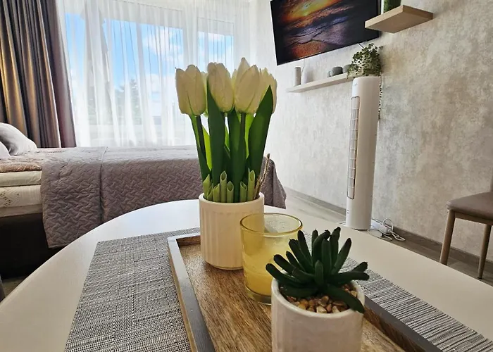 Апартаменты Apartamentai Aldma Palangos Miesto Sirdyje Паланга