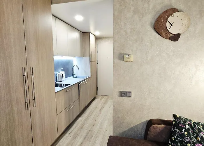 Apartamentai Aldma Palangos Miesto Sirdyje Апартаменты *